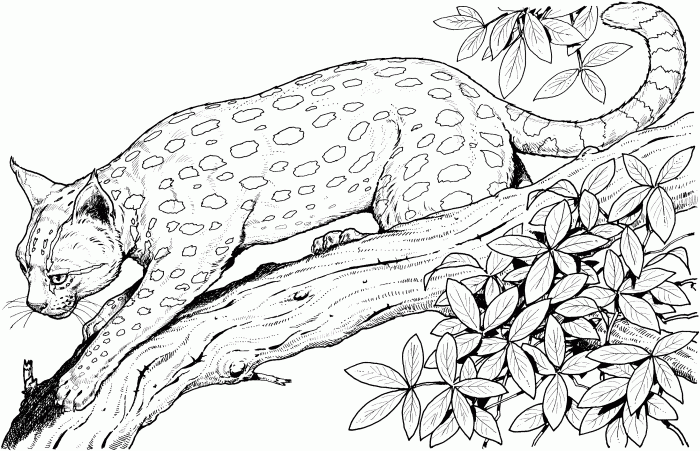 Annie and the wild animals coloring pages