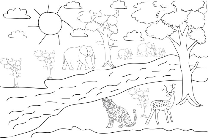 Coloring pages of forest animals