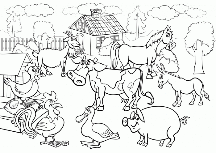 Coloring pages of farm animals for preschoolers