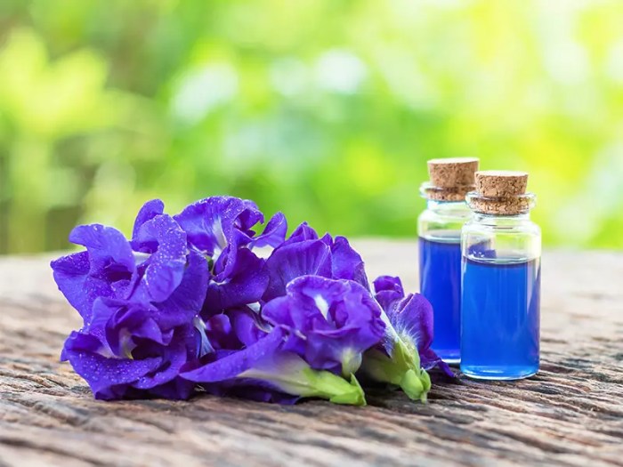 Butterfly pea food coloring