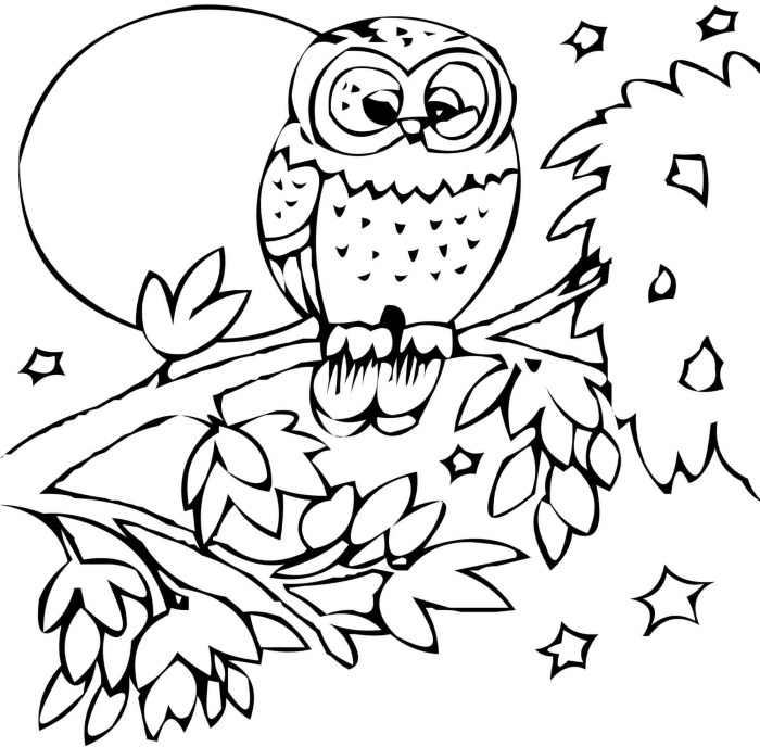 Animal coloring worksheets free