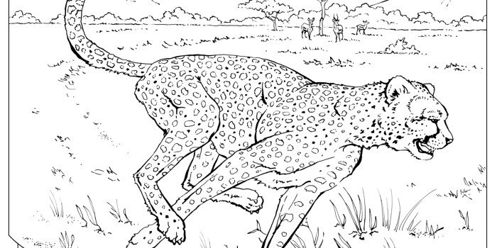 Free coloring pages of wild animals