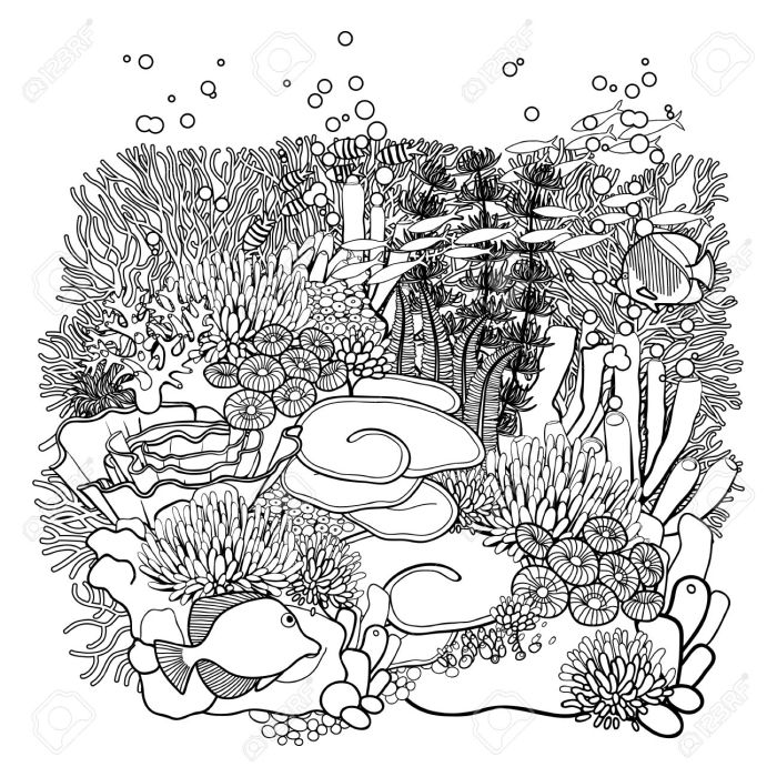 Coral reef animals and plants coloring pages