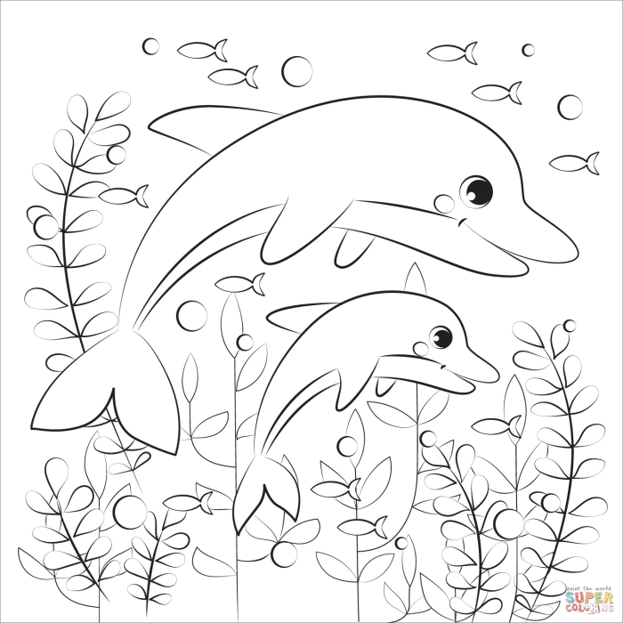 Coloring pages of animals dolphin