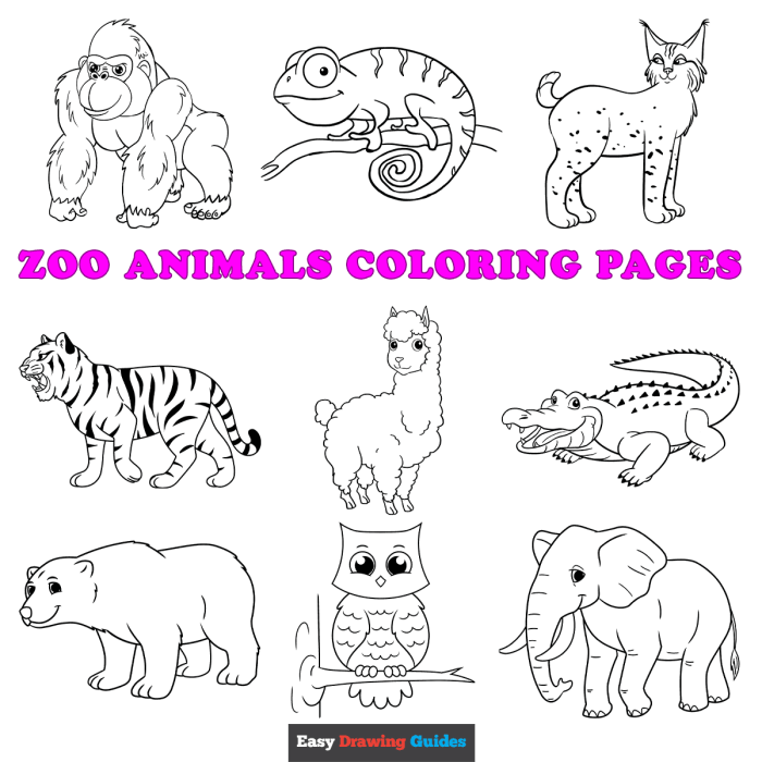 Animal coloring worksheets free