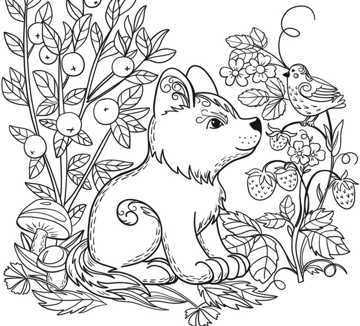 Animal coloring worksheets free